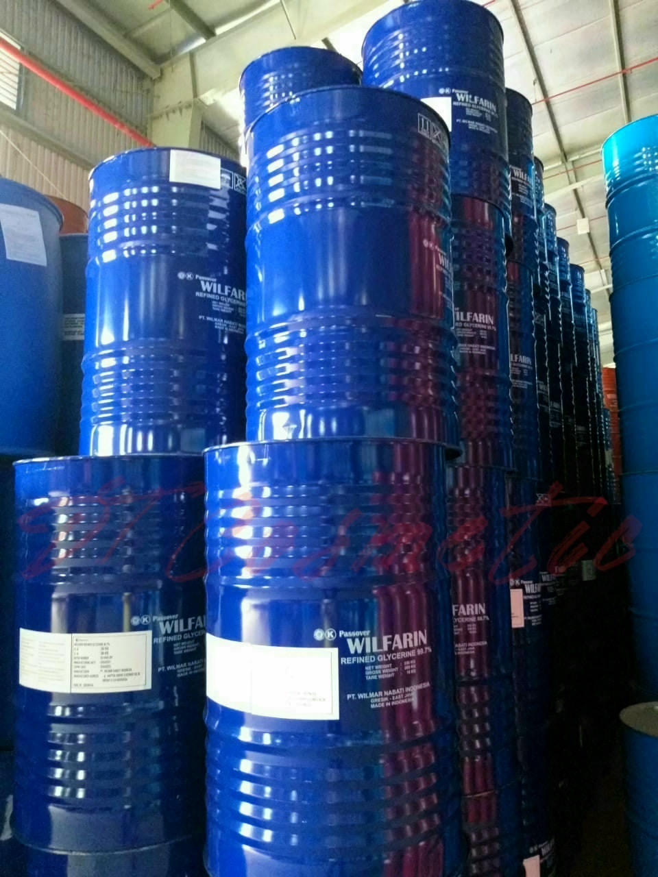 RemasterDirector_1a5c03258